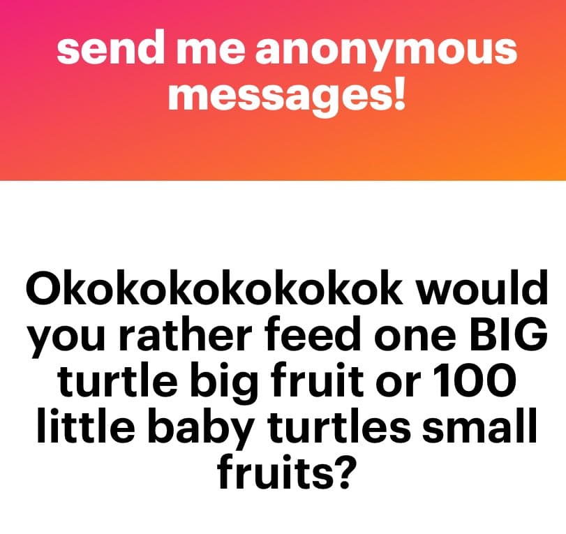 A text-based social media graphic featuring a pink-to-orange gradient header and a white body. The image poses a question about feeding turtles.