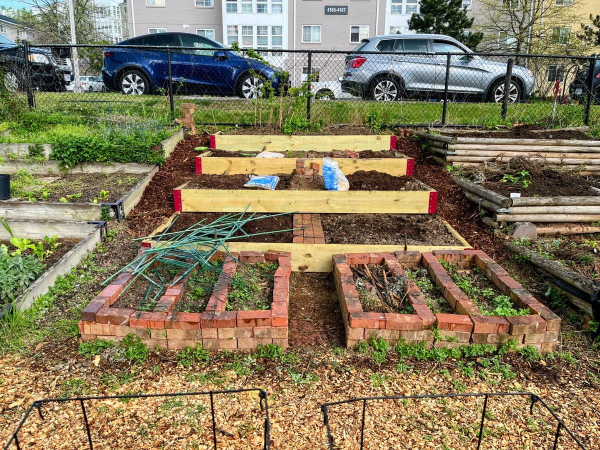 A photograph of a backyard garden featuring several raised beds made of wood and bricks, with a pile of green metal stakes and bags of soil in the center. In the background, a chain-link fence separates the garden from a parking area with a blue SUV and a silver SUV, with apartment buildings visible behind them.