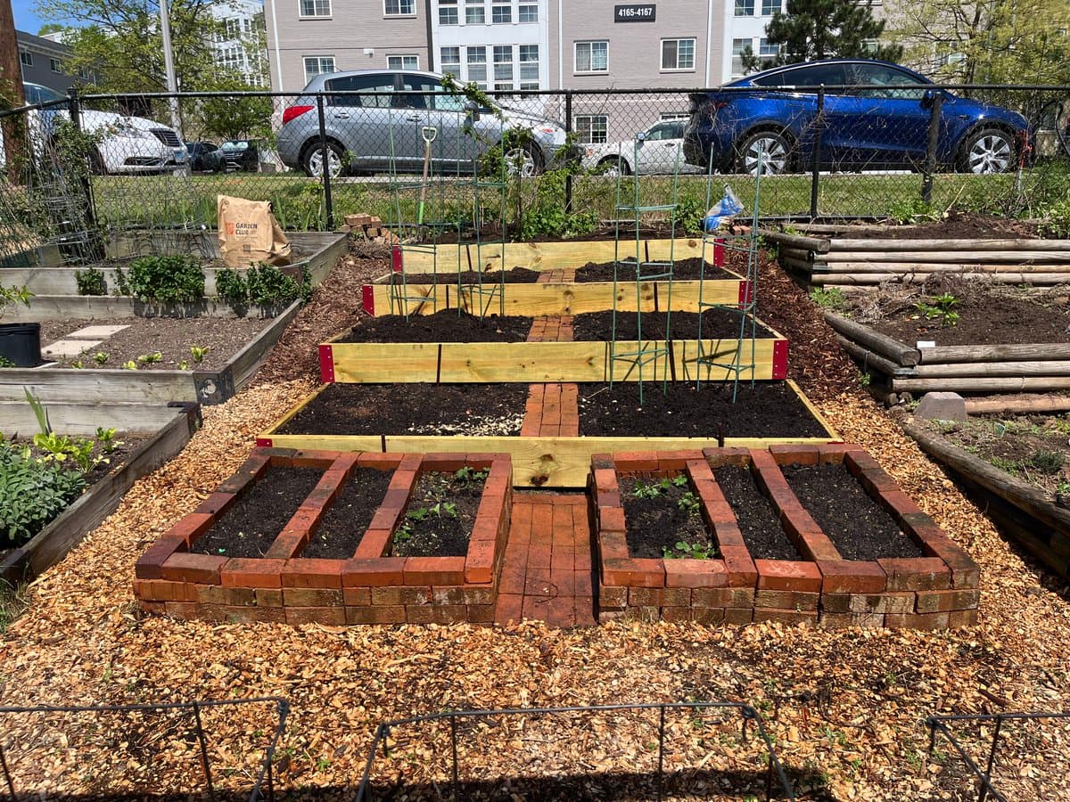 A photograph of a community garden plot featuring newly constructed terraced raised beds made of wood and brick, filled with dark soil and small plants. In the background, a chain-link fence separates the garden from a parking lot with several cars and a large apartment building.