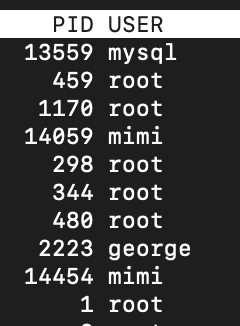 A screenshot of a terminal window displaying a list of process IDs (PID) and their corresponding user names. The list includes processes for users such as 'mysql', 'root', 'mimi', and 'george'.