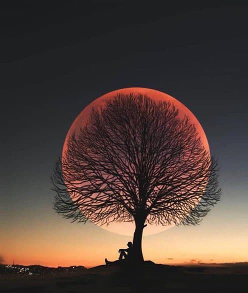 A silhouette of a bare tree with a person sitting at its base, set against a large, glowing orange moon in a dark sky. The scene is backlit, creating a dramatic contrast between the dark foreground and the bright celestial body.