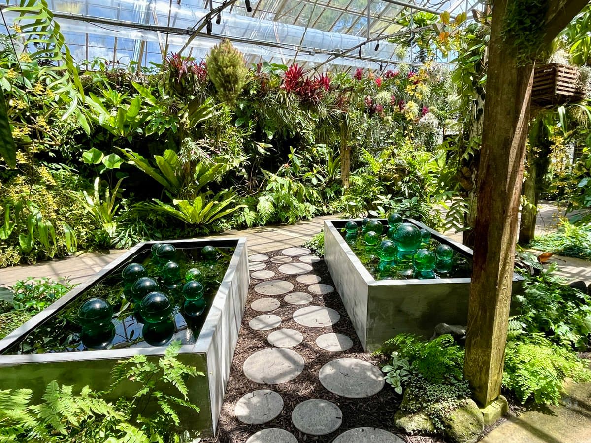 A lush indoor garden featuring a stone pathway flanked by two rectangular water planters filled with green glass spheres, surrounded by dense tropical foliage under a glass conservatory roof.
