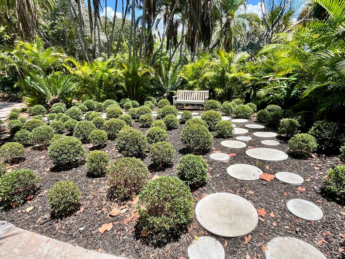 A landscaped garden featuring a winding path made of round concrete stepping stones, flanked by rows of small, rounded shrubs and surrounded by tall palm trees and lush tropical foliage. A white wooden bench sits at the end of the path, nestled among the greenery.