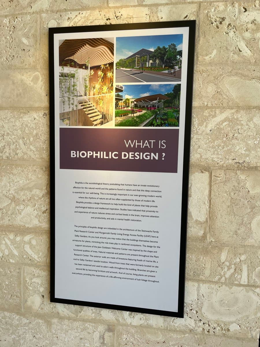A framed informational poster mounted on a textured stone wall, featuring architectural renderings and text about biophilic design at Selby Gardens. The poster includes a large title and several paragraphs of explanatory text below three images of a modern building with integrated greenery.