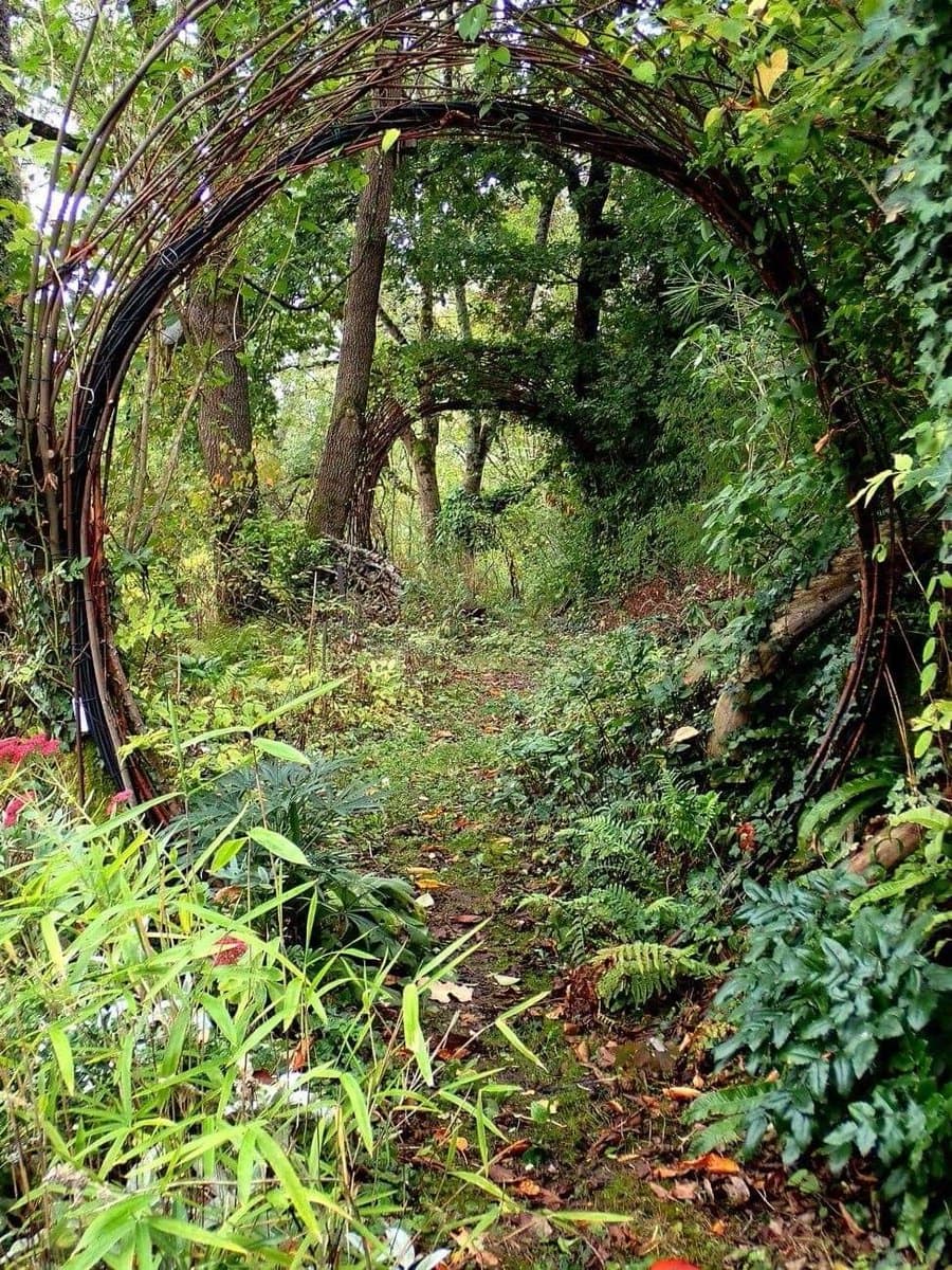 A lush, overgrown garden path framed by a large, arched trellis made of woven branches and vines. The scene is filled with dense green foliage, ferns, and wild plants, creating a natural, enchanted forest atmosphere.