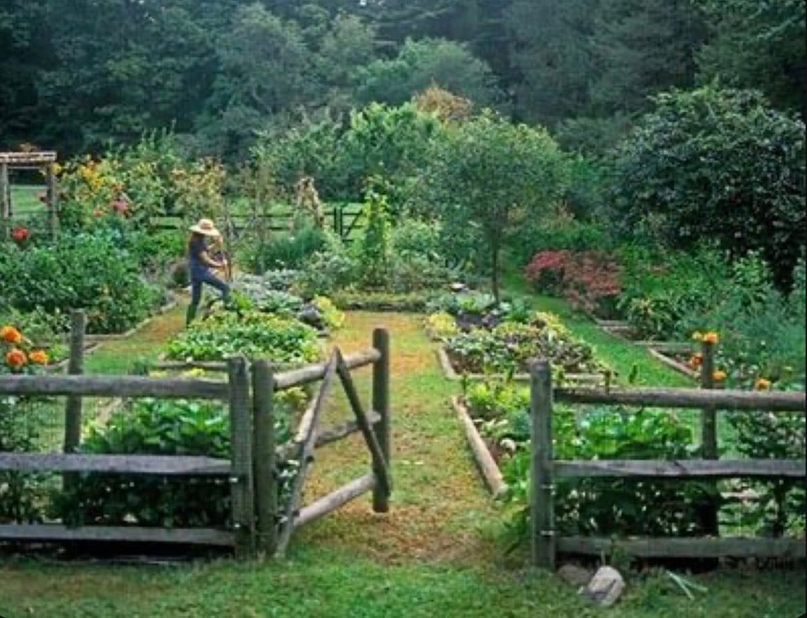 A photograph of a lush, well-maintained garden featuring raised planting beds, a wooden split-rail fence with an open gate, and a person wearing a straw hat tending to the plants. The garden is surrounded by dense trees and various flowering shrubs.