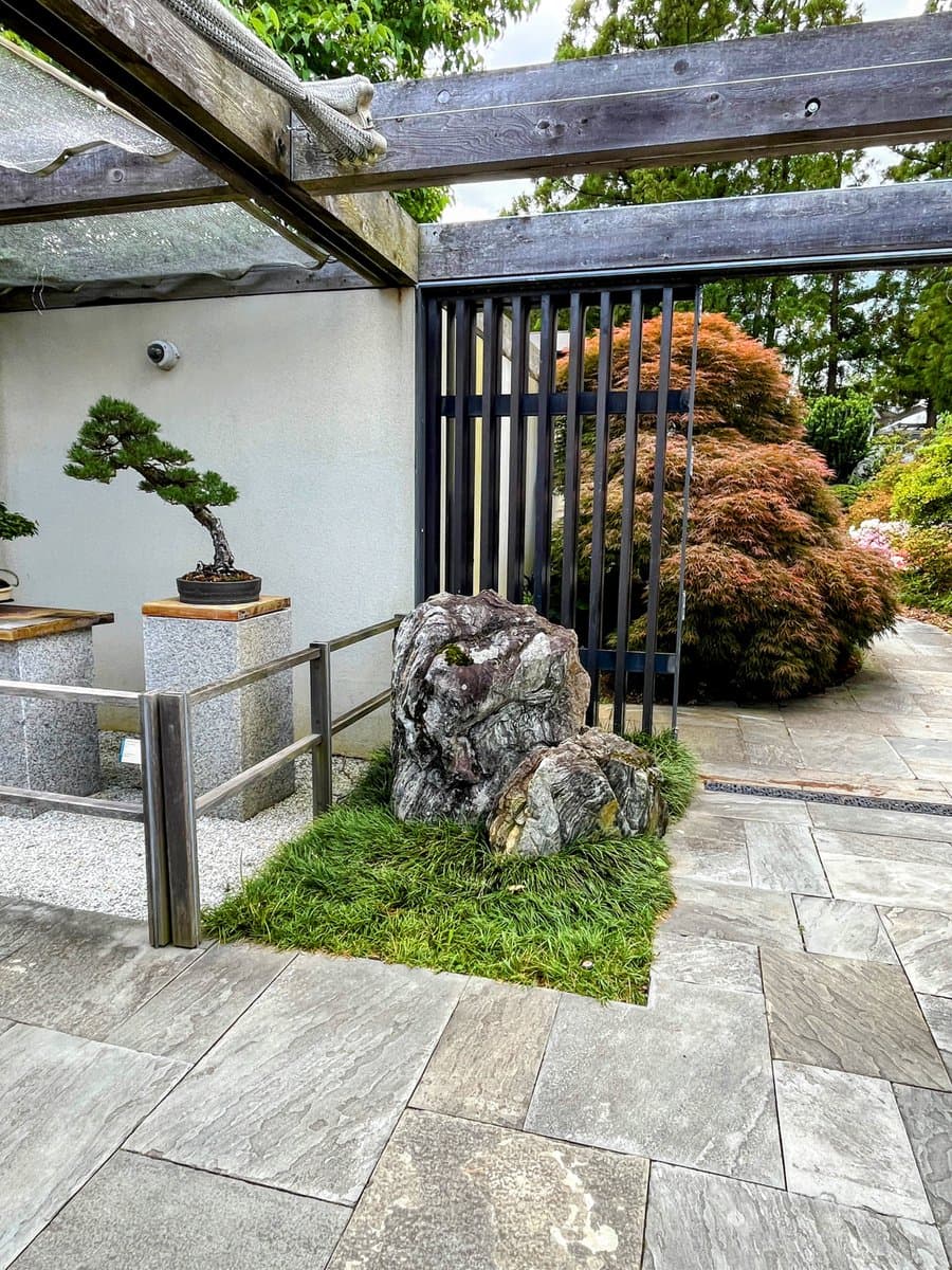 A Japanese-style garden scene featuring a bonsai tree on a stone pedestal, a large decorative rock on a patch of grass, and a red-leafed Japanese maple behind a black metal fence. The area is paved with large stone slabs and framed by a wooden pergola structure.