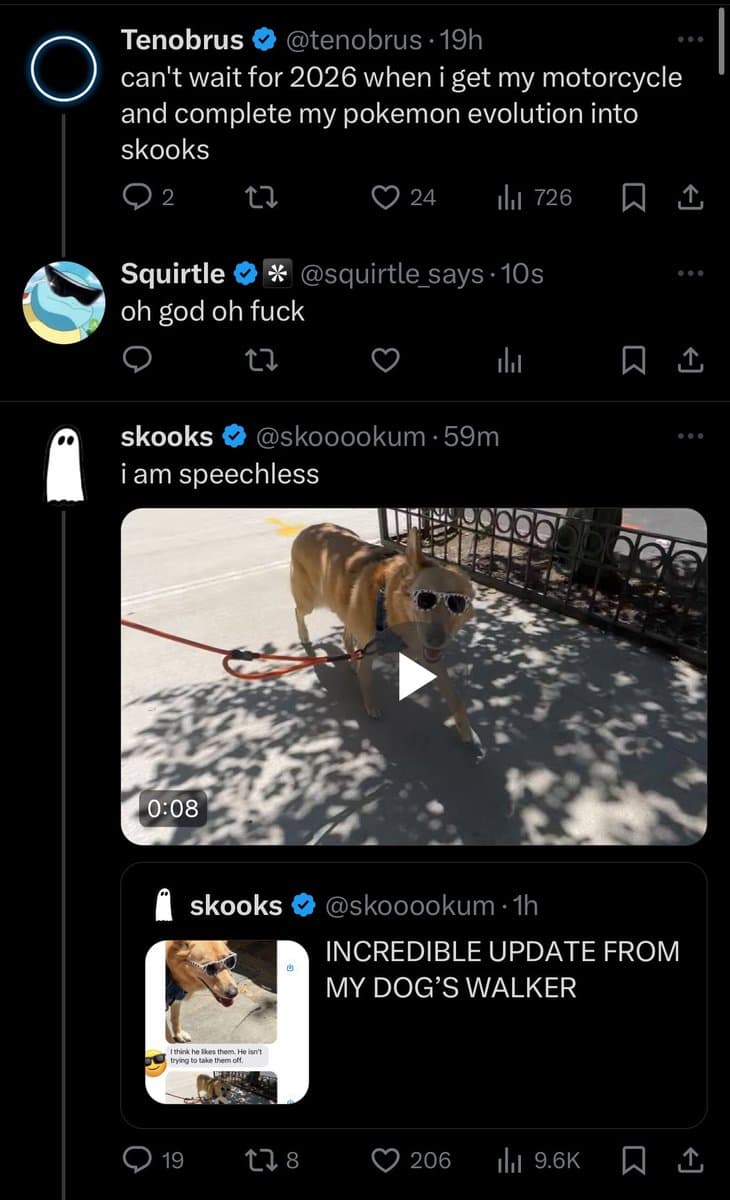 A screenshot of a Twitter conversation featuring a video of a dog wearing sunglasses. The thread includes a reply to a user named Tenobrus and a quote-tweet from the account 'slooks' with the caption 'INCREDIBLE UPDATE FROM MY DOG'S WALKER'.