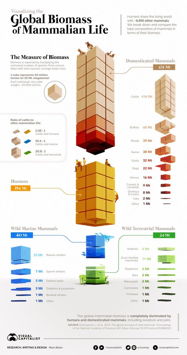 An infographic by Visual Capitalist titled 'Visualizing the Global Biomass of Mammalian Life' that uses 3D block diagrams to compare the biomass of humans, domesticated mammals, and wild mammals. The chart illustrates that humans and domesticated animals (primarily livestock) vastly outweigh wild mammals, with a total of 651 Mt for domesticated species and 394 Mt for humans compared to only 24 Mt for wild terrestrial mammals.
