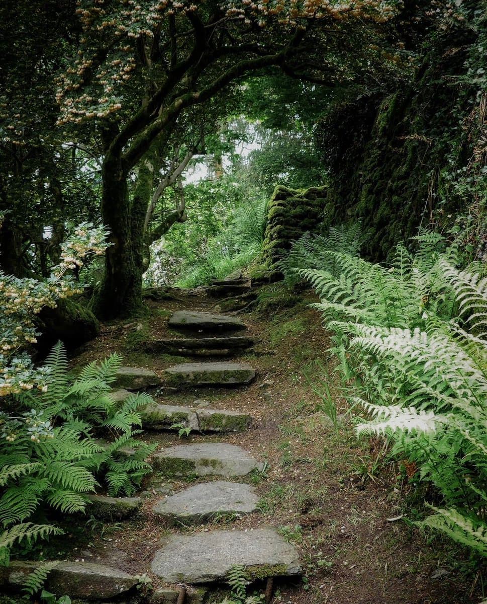 A mossy stone path winds through a lush, green forest, flanked by ferns and overhanging trees with white blossoms. The scene is serene and natural, evoking a hidden or secret trail.