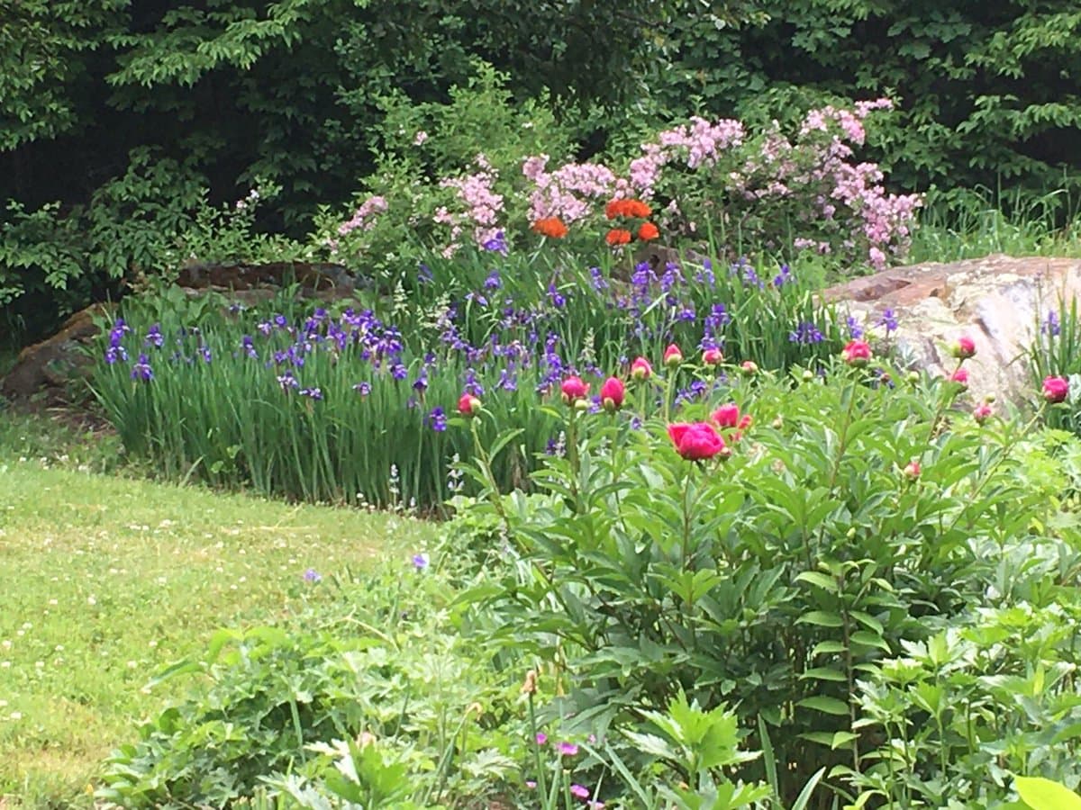 A garden scene featuring a variety of colorful flowers, including pink roses, purple irises, and orange blooms, set against a backdrop of green foliage and trees.