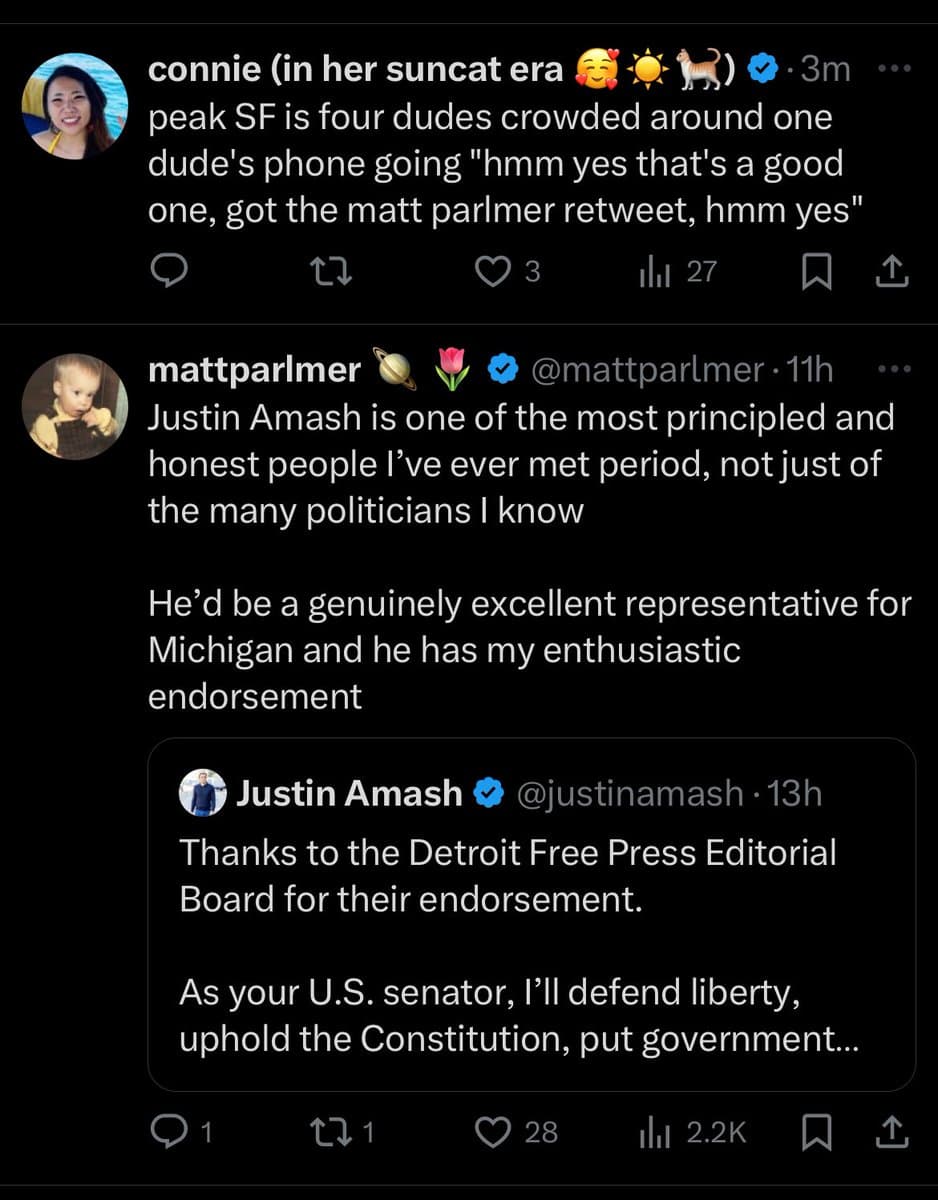 A screenshot of a Twitter conversation featuring a reply from user 'connie (in her suncat era)' to a tweet by 'mattparlmer'. The conversation includes a quote-tweet from 'Justin Amash' regarding his endorsement by the Detroit Free Press Editorial Board.