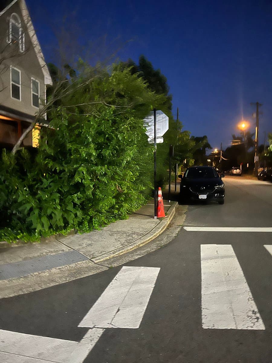 A nighttime photograph of a residential street corner featuring a crosswalk, a parked black car, and a sidewalk partially obscured by overgrown bushes and a stop sign.