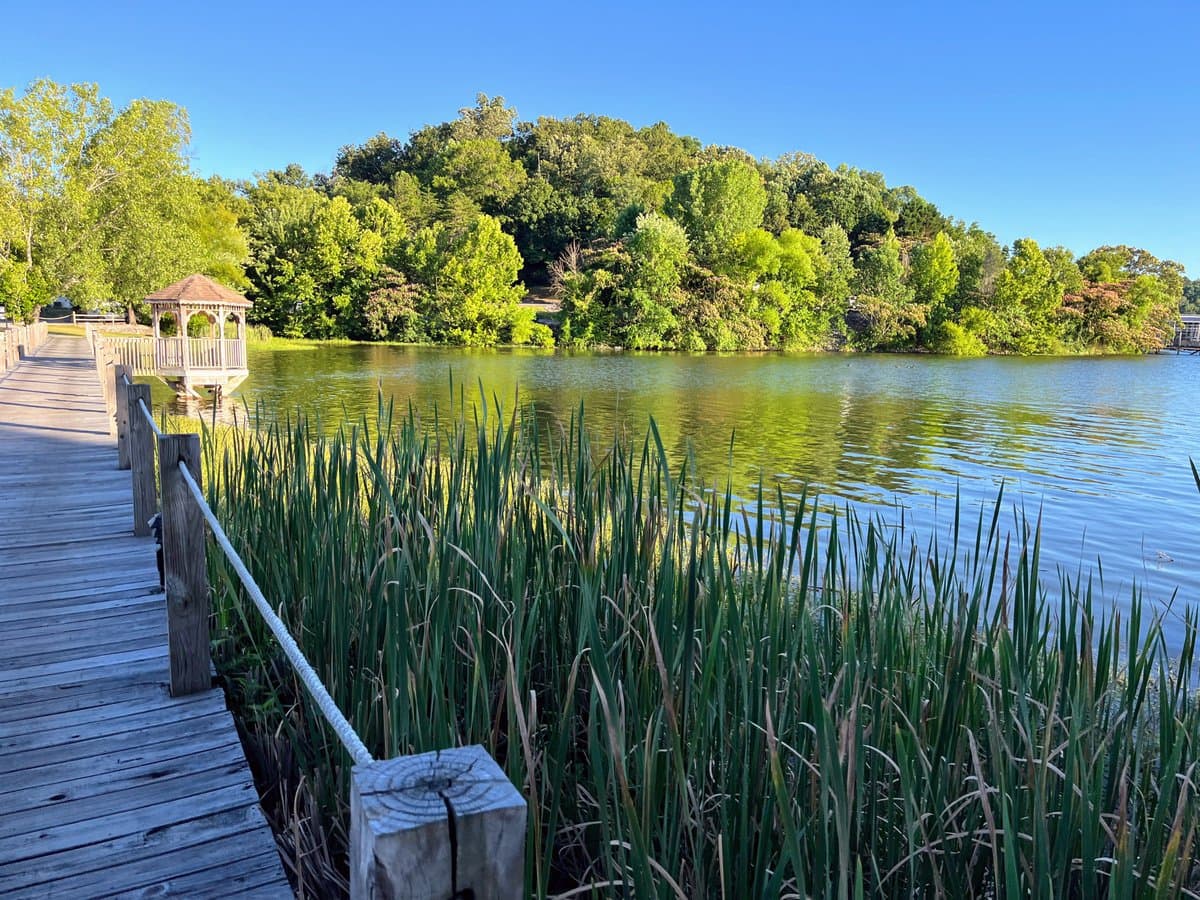 A scenic outdoor photograph showing a wooden boardwalk and gazebo extending over a calm body of water, bordered by tall green reeds and a tree-covered shoreline under a clear blue sky.
