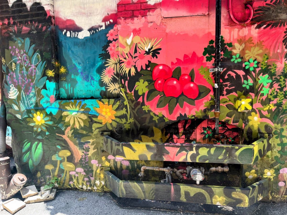 A vibrant street art mural painted on a brick wall, featuring a colorful garden scene with large red berries, pink and yellow flowers, and green foliage. The artwork covers a utility area, including a painted wooden trough and exposed pipes at the base.