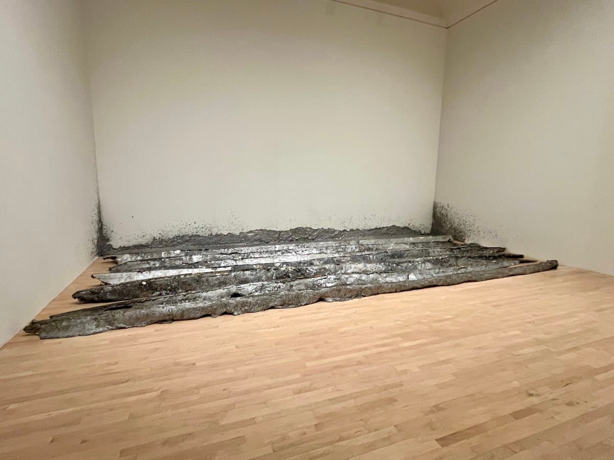 A photograph of a minimalist art installation in a gallery space, featuring several long, dark, textured strips laid out on a light wooden floor against a white wall.