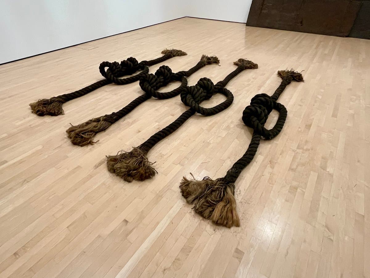 A photograph of a contemporary art installation featuring four thick, dark ropes with knotted loops and frayed ends lying on a light wooden gallery floor.