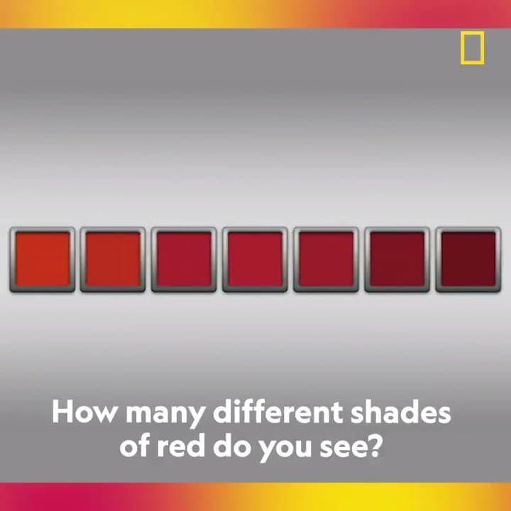 A National Geographic-style image showing a row of seven red squares with varying shades against a gray gradient background, with a question at the bottom. The image is framed by yellow and red gradient bars at the top and bottom, with the National Geographic logo in the upper right corner.