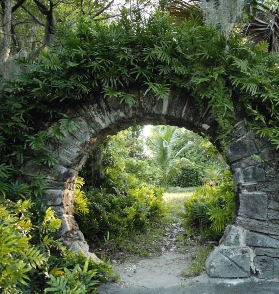 A stone archway covered in lush green ferns and vines, framing a view of a tropical garden with palm trees and a dirt path.