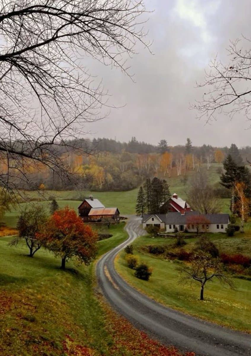 A scenic photograph of a rural American farm in autumn, featuring a red barn, a white farmhouse, and a winding gravel road cutting through green fields. The landscape is framed by bare tree branches in the foreground and a backdrop of trees with yellow and orange foliage under an overcast sky.