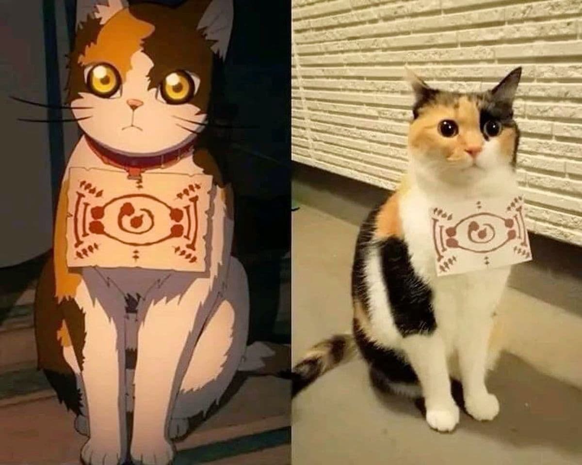 A side-by-side comparison image showing an anime cat character on the left and a real calico cat on the right, both wearing a paper tag with a similar symbol on their chest.