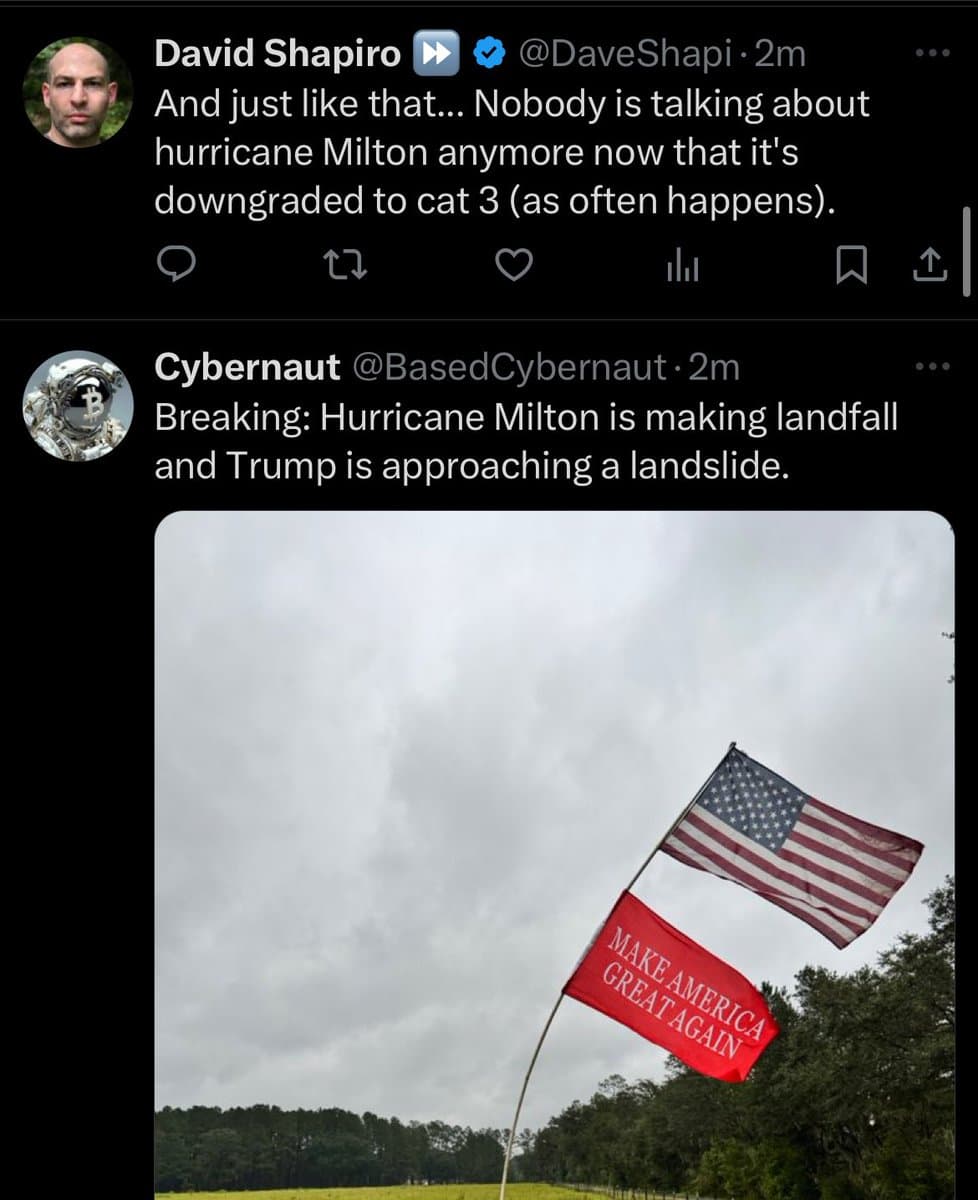 A screenshot of a Twitter conversation where user @BasedCybernaut replies to @DaveShapi with a photo of an American flag and a red 'Make America Great Again' flag flying in a stormy sky. The reply text draws a parallel between Hurricane Milton making landfall and a political 'landslide'.