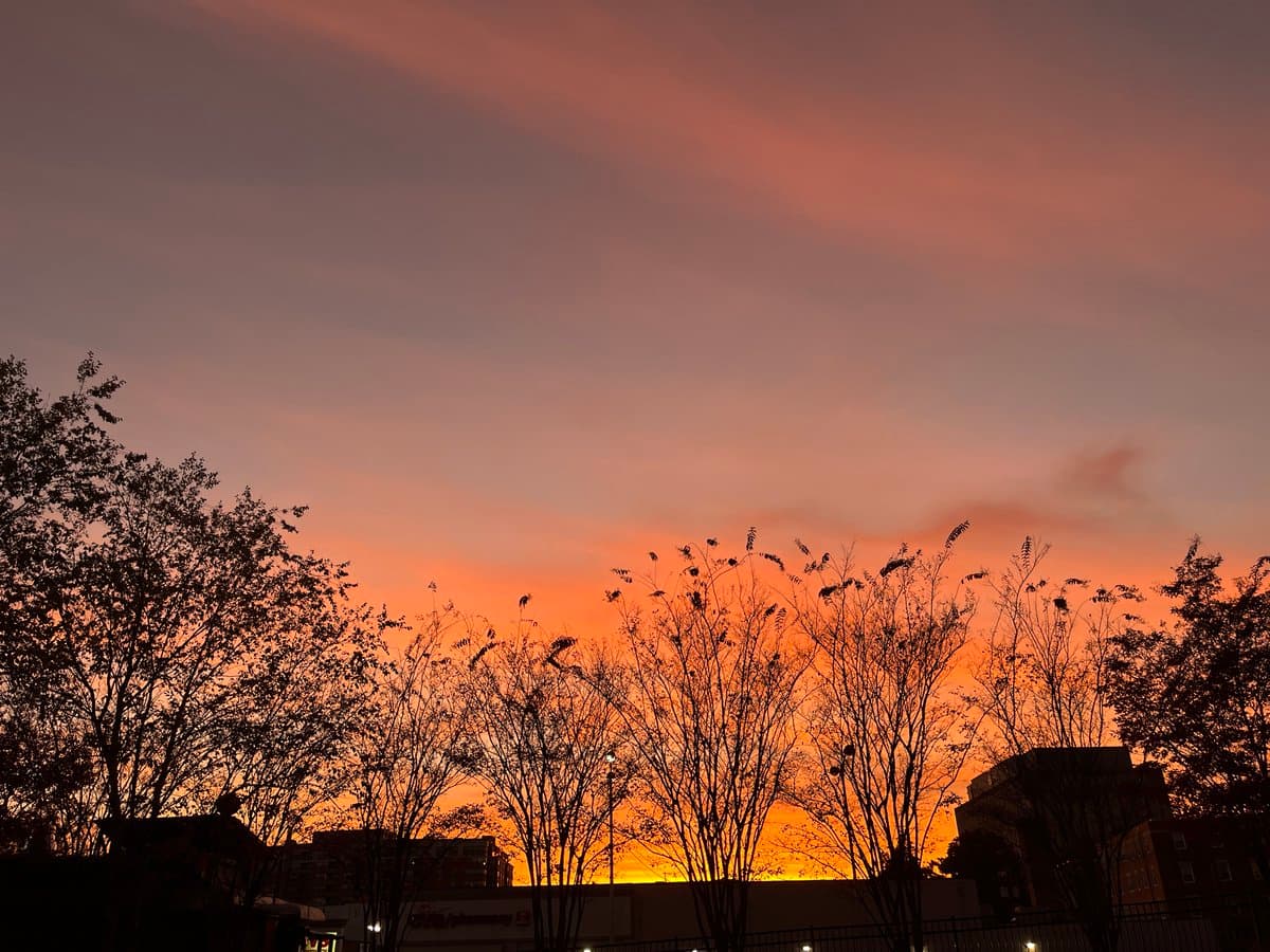 A photograph of a vibrant sunset with orange and pink hues in the sky, silhouetting trees and buildings in the foreground.