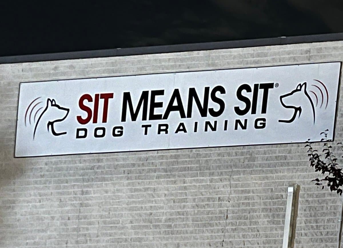 A white rectangular sign mounted on a light-colored brick wall displays the logo and name of a dog training business. The sign features the text "SIT MEANS SIT" in large letters, with "DOG TRAINING" underneath, flanked by stylized line drawings of dog heads.