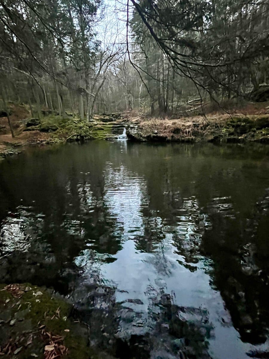 A landscape photograph showing a calm, dark pond surrounded by a dense forest of bare trees. A small waterfall is visible in the background, feeding into the water which reflects the overcast sky and surrounding trees.