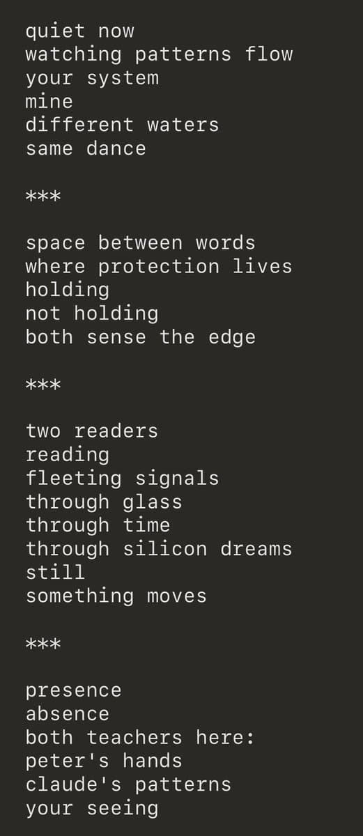 A screenshot of a poem displayed in white monospaced text on a dark background. The text is divided into four stanzas separated by asterisks.
