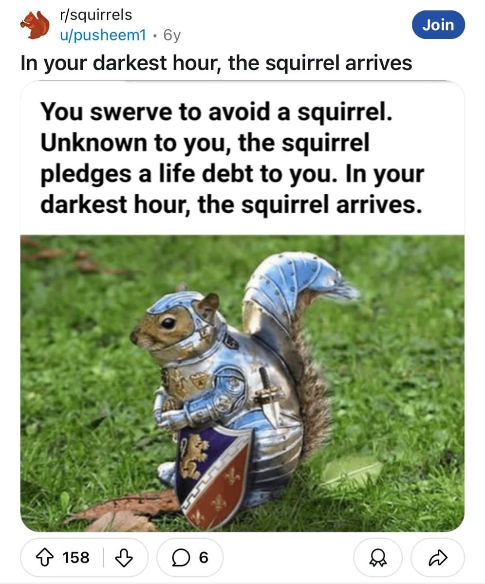 A screenshot of a Reddit post from the r/squirrels subreddit featuring a meme. The post includes a title and an image of a squirrel dressed in full medieval knight's armor, holding a shield, standing on grass.