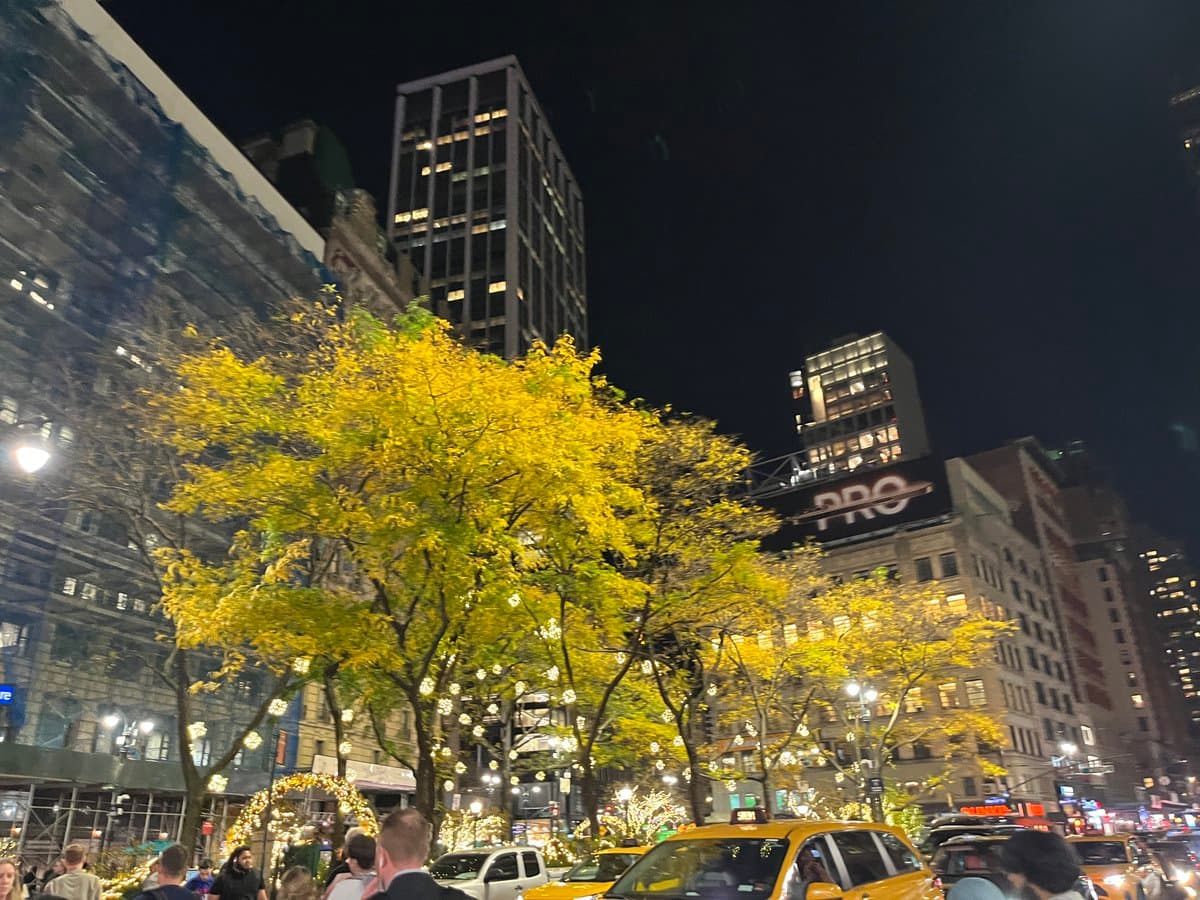 A nighttime city street scene featuring illuminated trees with yellow leaves, tall buildings, and yellow taxis on the road. A large digital billboard on one of the buildings displays the word "PRO" in white letters.