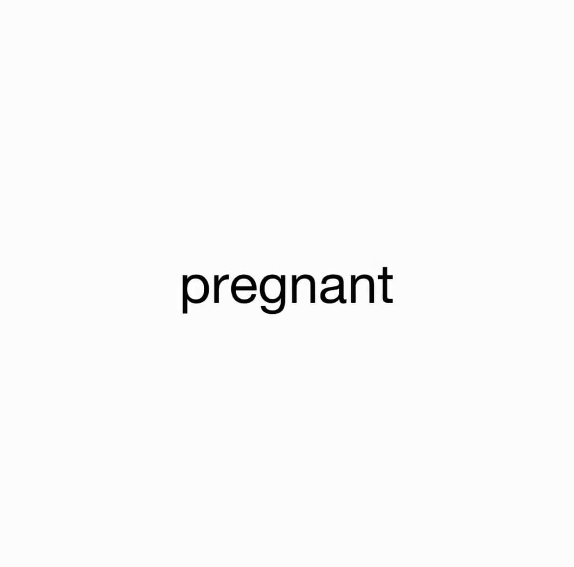 A minimalist text image featuring the word "pregnant" in a black, lowercase sans-serif font centered on a plain white background.
