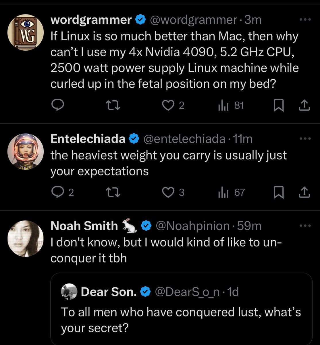 A screenshot of a Twitter conversation featuring a thread of replies. The main post by user 'wordgrammer' asks a humorous question about using a high-performance Linux machine in bed. The thread includes replies from users 'Entelechiada' and 'Noah Smith', with the final reply quoting a tweet from 'Dear Son.'