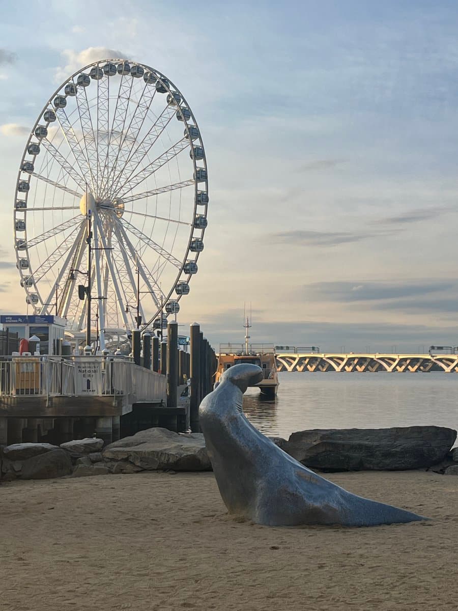 A photograph of a beach scene featuring a large silver seal sculpture in the foreground, with a Ferris wheel and a bridge visible in the background across the water. The sky is partly cloudy, suggesting early morning or late afternoon light.