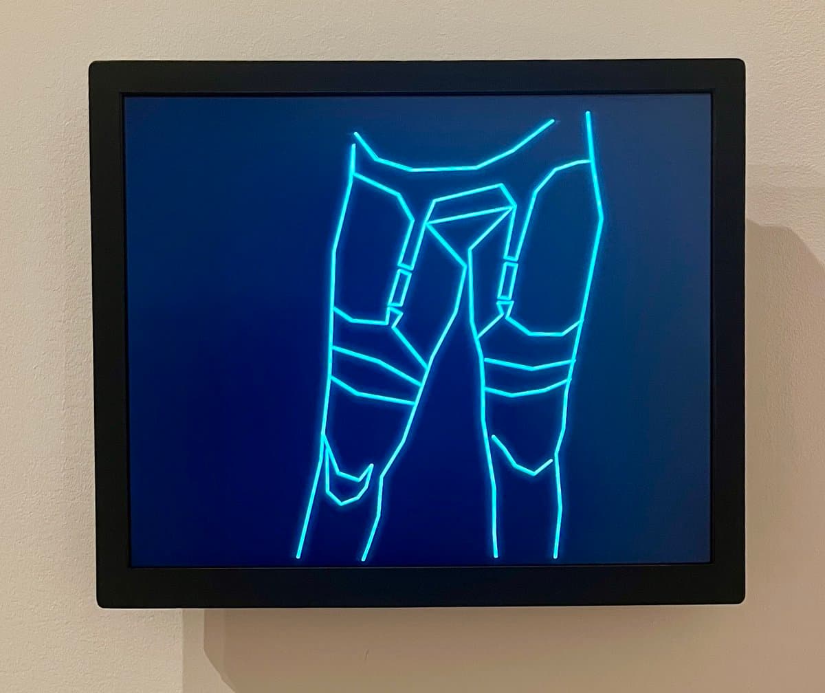 A framed digital display mounted on a white wall shows a glowing blue line drawing of a pair of legs against a dark background. The artwork appears to be a modern, abstract representation of human anatomy, likely part of an exhibition at the Museum of Modern Art (MoMA).