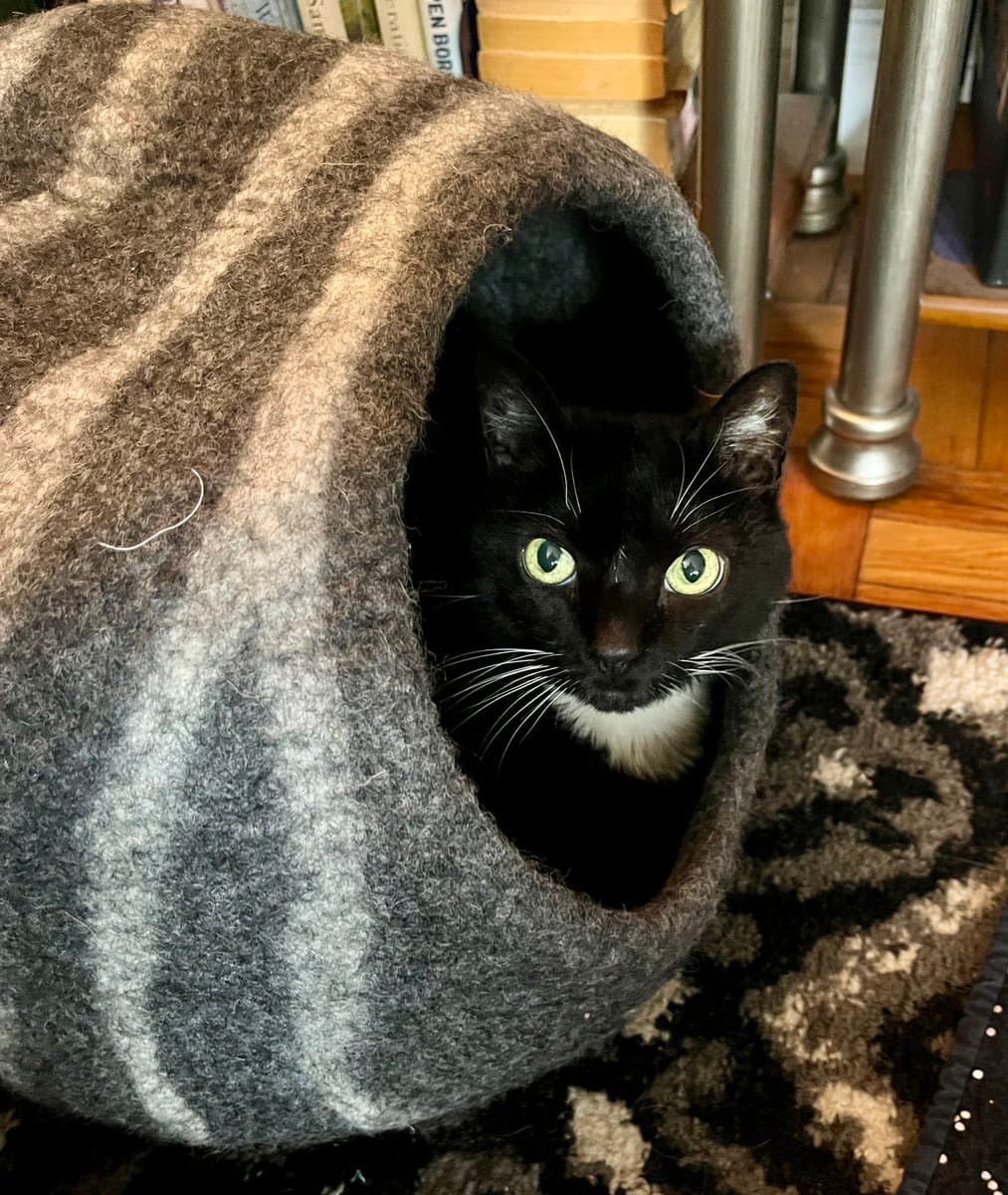 A black and white tuxedo cat with green eyes peeks out from inside a grey, felted wool cat cave. The cat is resting on a dark, patterned rug in a home setting with bookshelves visible in the background.