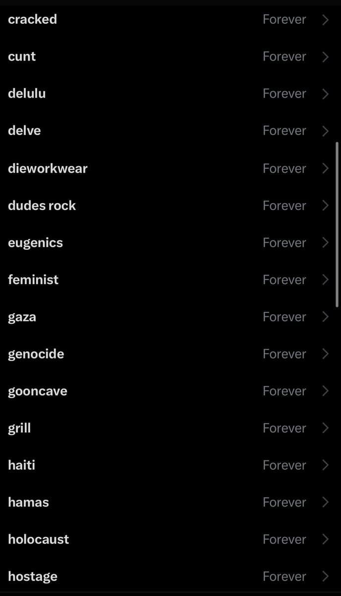 A screenshot of a Twitter mute list showing a series of words and phrases that have been muted. Each entry is listed on the left with the word 'Forever' and a right-pointing arrow on the right, indicating the mute duration.