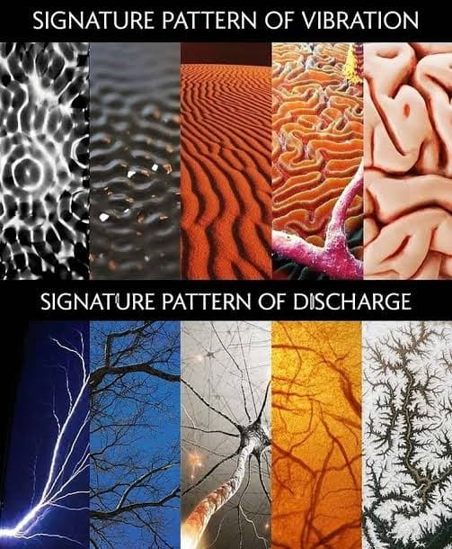 A comparison chart titled 'SIGNATURE PATTERN OF VIBRATION' and 'SIGNATURE PATTERN OF DISCHARGE' showing six images of each type. The top row displays circular, wave-like, and organic patterns, while the bottom row displays branching, fractal-like structures such as lightning, trees, and neurons.
