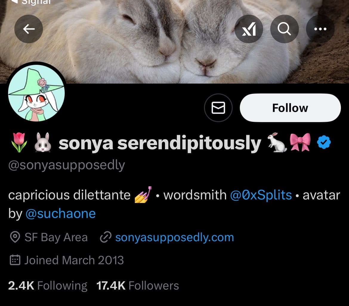 A screenshot of a Twitter profile page for the user "sonya serendipitously" (@sonyasupposedly). The profile features a banner image of two sleeping rabbits and a cartoon avatar of a rabbit in a green hat. The bio describes the user as a "capricious dilettante" and "wordsmith".