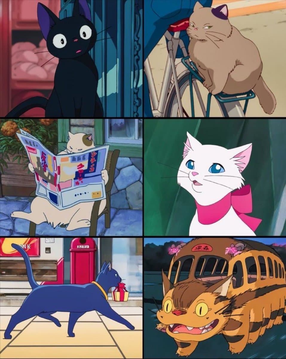 A six-panel collage featuring various cats from Studio Ghibli animated films, including Jiji, the cat from 'Whisper of the Heart,' and the Catbus.