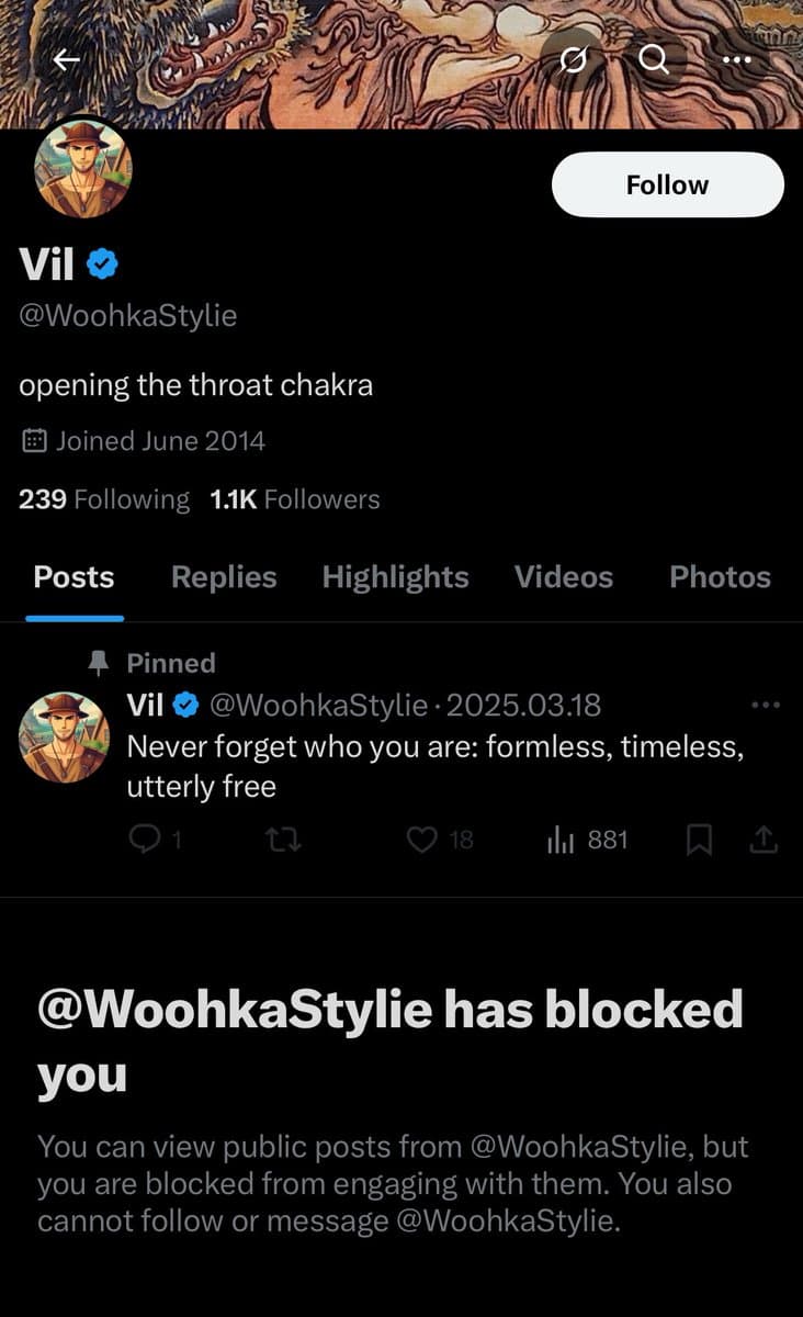 A screenshot of a Twitter profile page for the user 'Vil' (@WoohkaStylie), showing their bio, follower counts, and a pinned post. The bottom of the image displays a notification that the user has blocked the viewer.