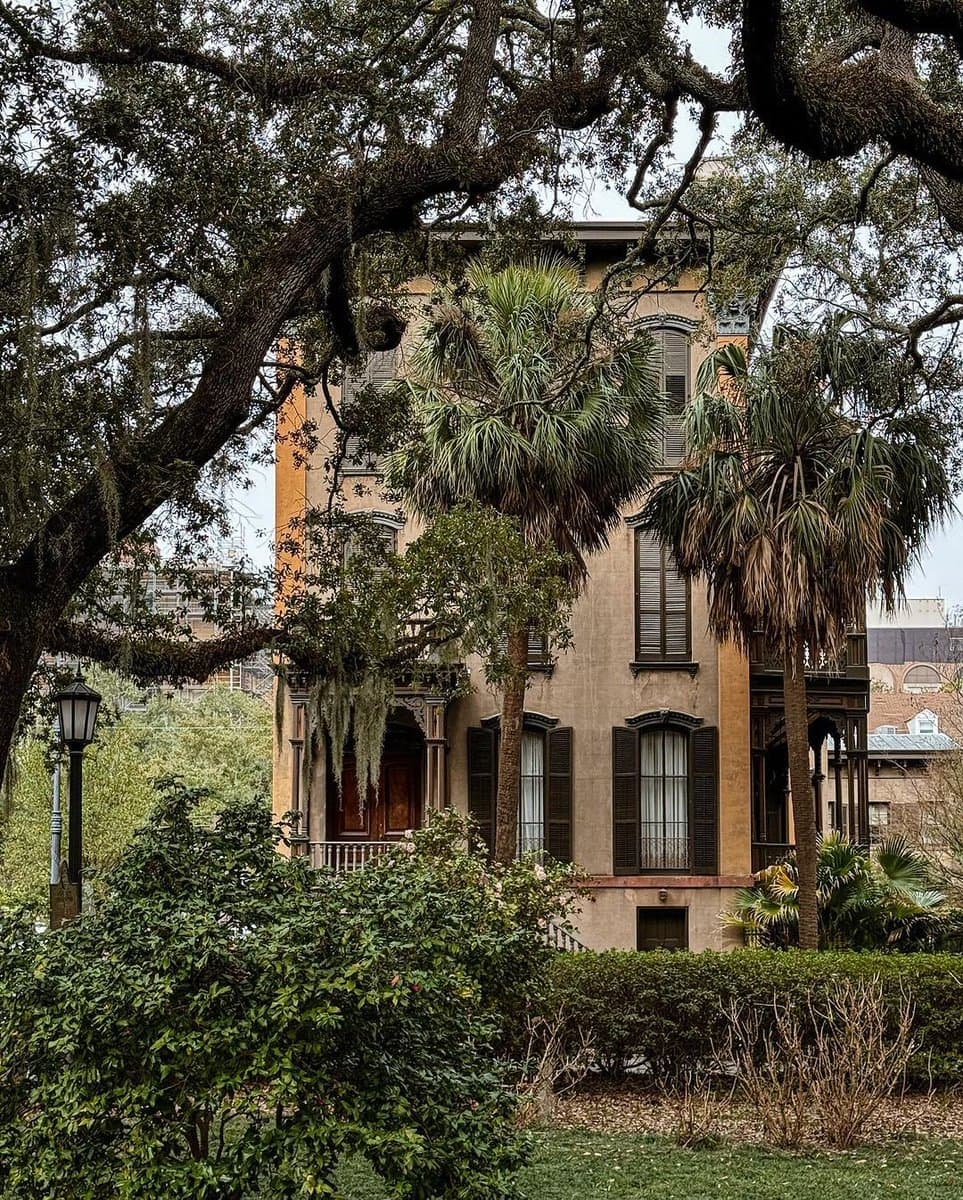 A photograph of a historic, multi-story building with a tan facade and dark shutters, partially obscured by large oak trees draped in Spanish moss and palm trees. The scene is framed by lush green bushes and a street lamp in the foreground, capturing a classic Southern architectural style.