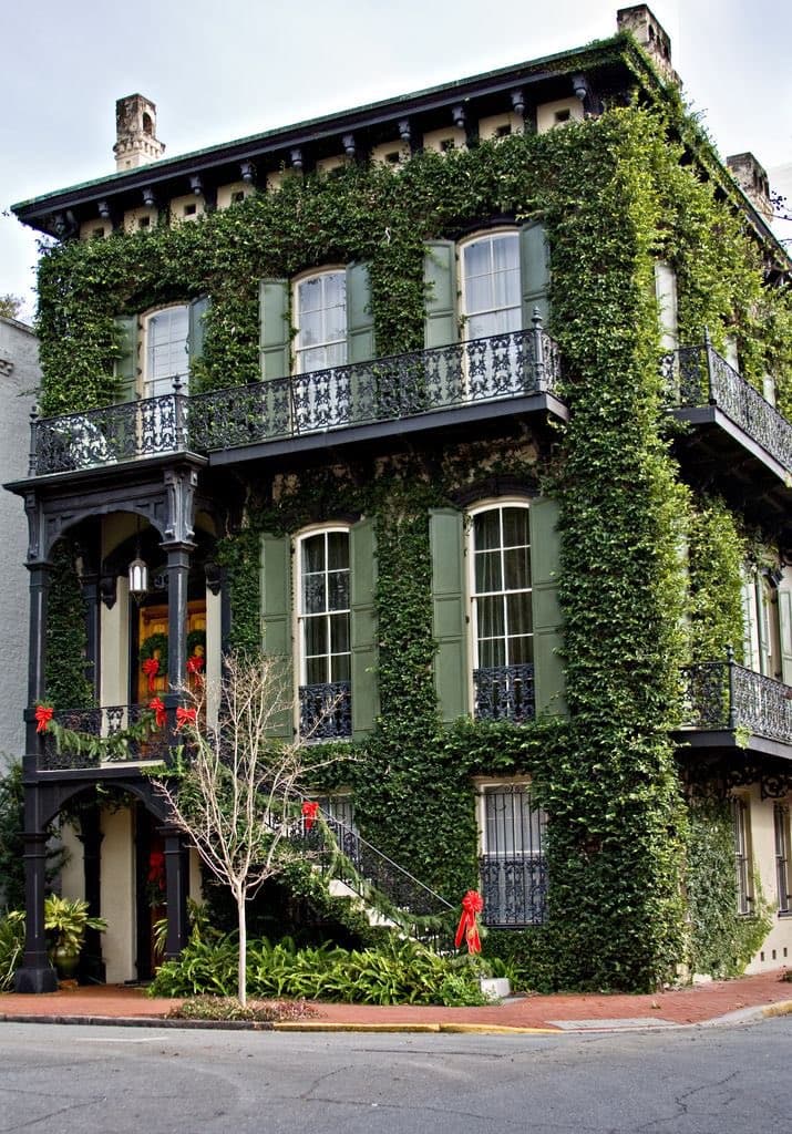 A photograph of a historic, multi-story building in Savannah, Georgia, covered in thick green ivy. The structure features ornate black iron balconies, green shutters, and festive red holiday wreaths on the railings.