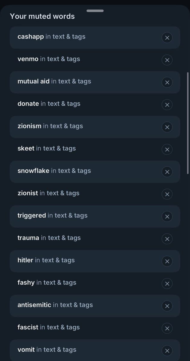 A screenshot of a mobile app's 'Your muted words' settings screen, showing a list of words the user has chosen to filter out of their feed. Each entry includes the word, the scope 'in text & tags', and an 'X' button to remove it.
