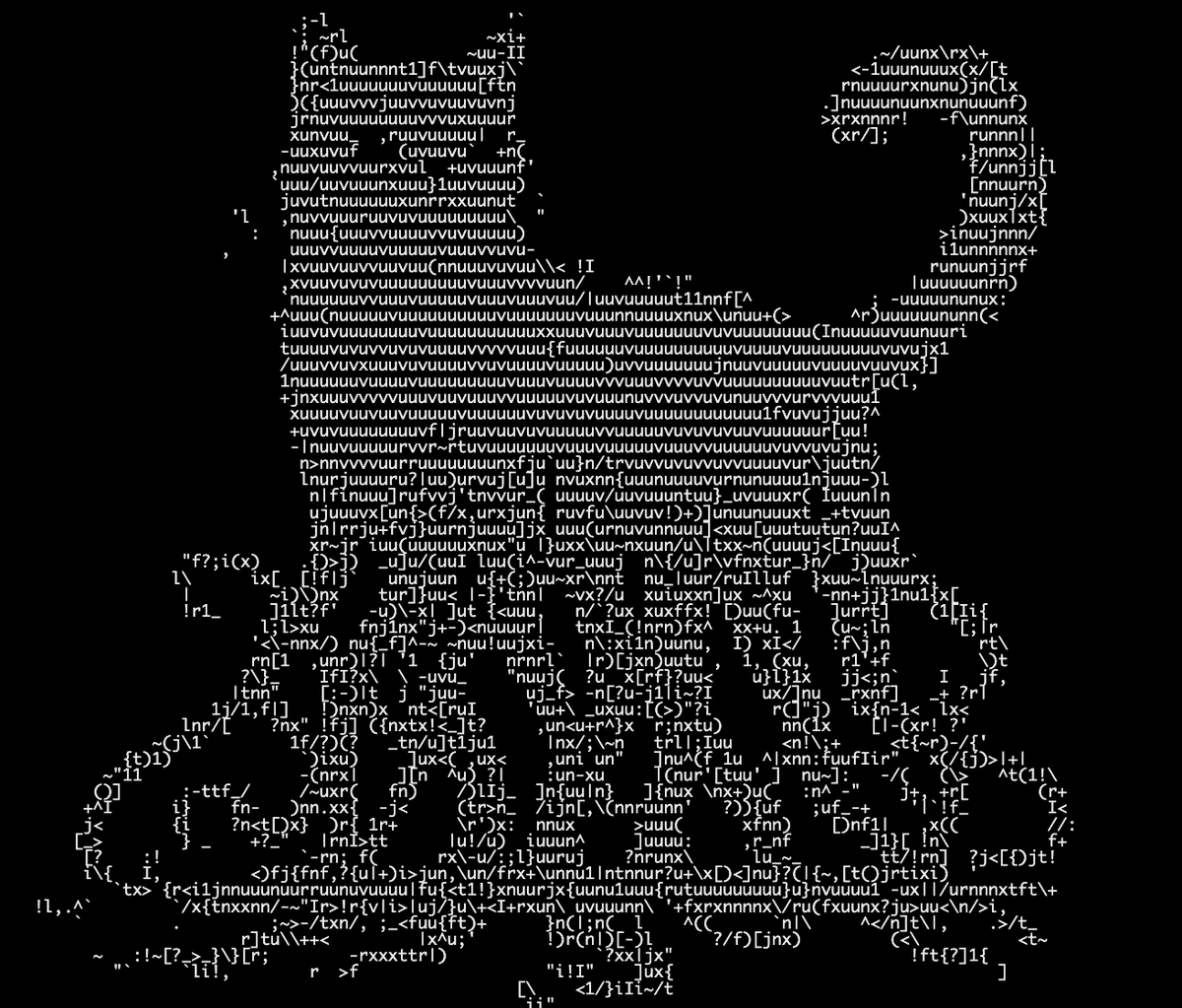 A black-and-white image displaying a large, detailed ASCII art illustration of a person's face and upper body, composed entirely of text characters. The artwork is set against a solid black background.