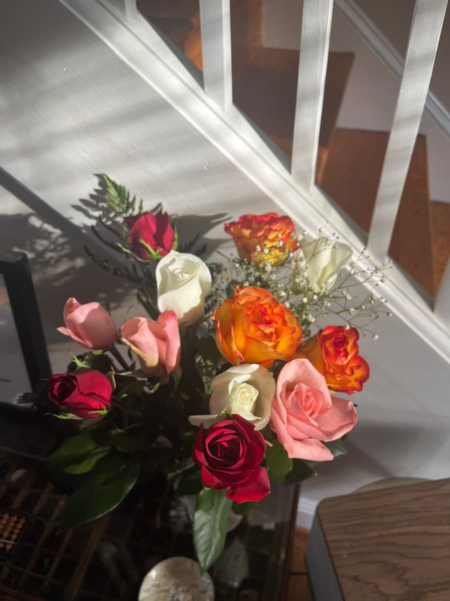 A bouquet of fresh roses in shades of red, pink, white, and orange, accented with baby's breath, sits in a vase on a wooden surface. The arrangement is illuminated by bright sunlight streaming through a window, casting distinct shadows on the white wall and staircase railing in the background.