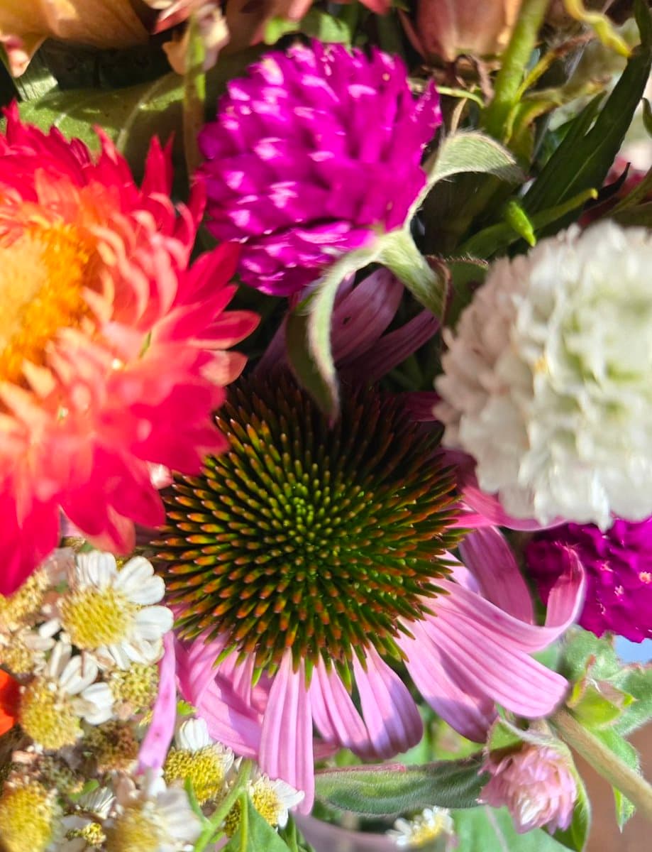 A close-up photograph of a colorful bouquet of flowers, featuring a prominent pink daisy with a spiky green center, a bright pink chrysanthemum, a purple globe amaranth, and small white daisies.