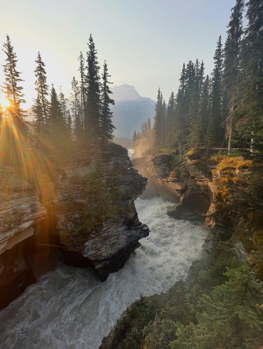 A scenic landscape photograph showing a rushing river flowing through a rocky canyon lined with tall evergreen trees, with the sun flaring from the left side and a mountain visible in the distance.