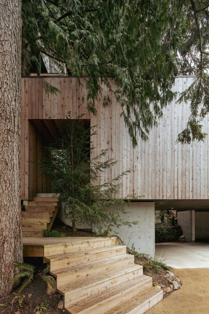 A modern, wood-clad tree house is nestled among tall evergreen trees, featuring a cantilevered design supported by concrete pillars. A set of wooden stairs leads up to the structure's entrance, which is partially obscured by a small tree and surrounding foliage.